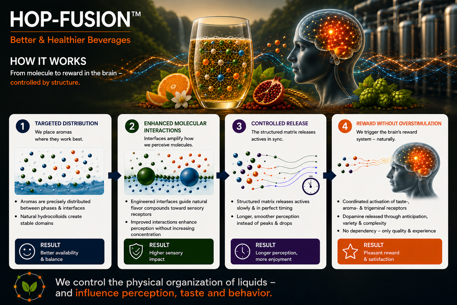 Four-step HOP-FUSION process.